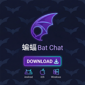 蝙蝠聊天 - 蝙蝠聊天软件夜间模式使用教程