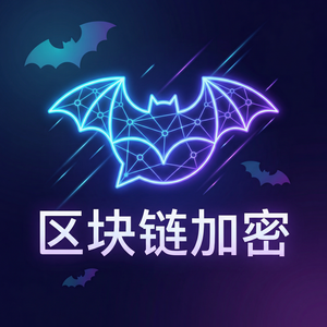 蝙蝠聊天官网 - 蝙蝠聊天软件密钥交换协议分析